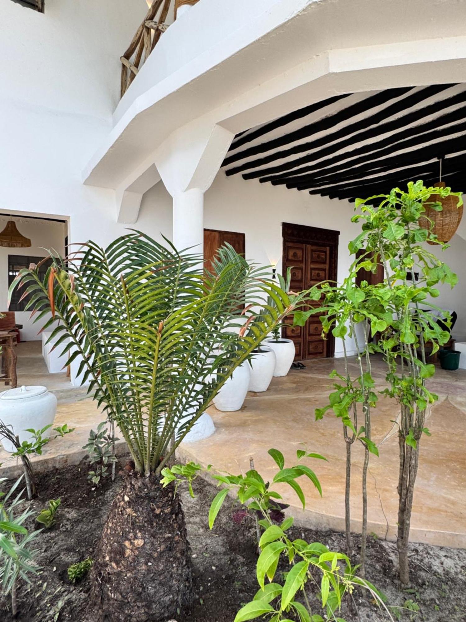 Mango Beach House Jambiani (Zanzibar) Exterior foto